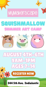 My Makerscape Camps